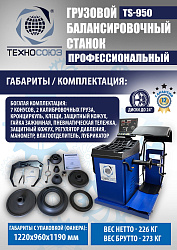 Комплект U-290 Шиномонтажный станок+TS-950 Балансировочный станок
